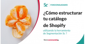 Comment structurer votre catalogue Shopify grâce à l’outil Segmentation Sc ?