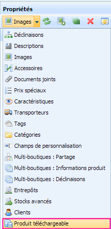 Pdt_Telechargeable.PNG