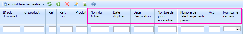 Pdt_Telechargeable_options.PNG